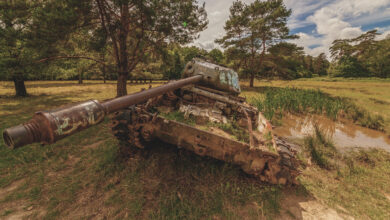 M41 Bulldog