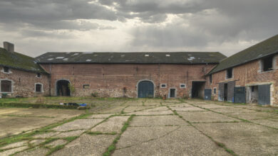 The Great Farm